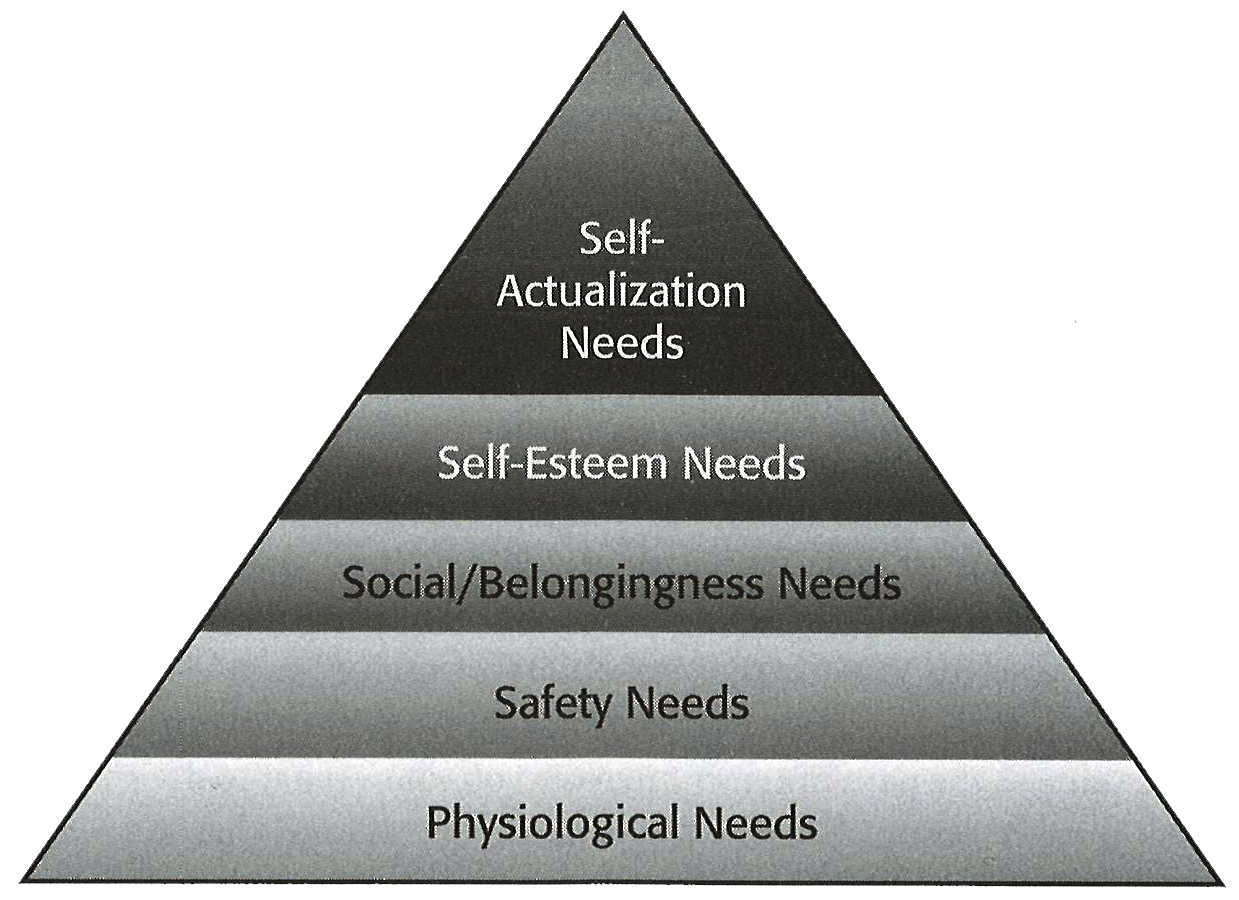 Maslow's hierarchy of needs.